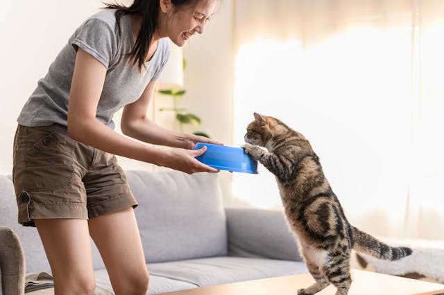 Hypoallergenic Cat Food