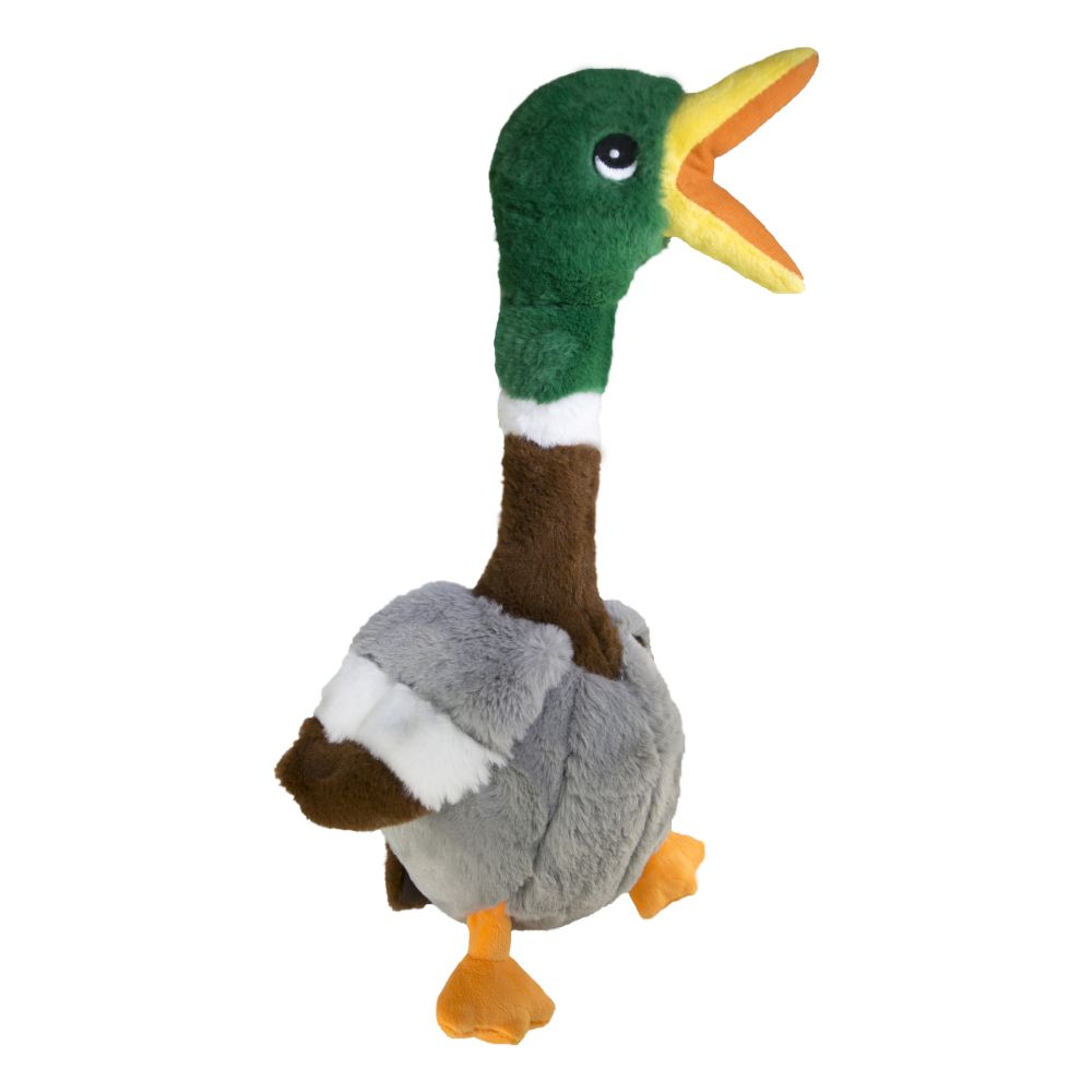 Kong Shakers Squeaks Dog Duck Toy