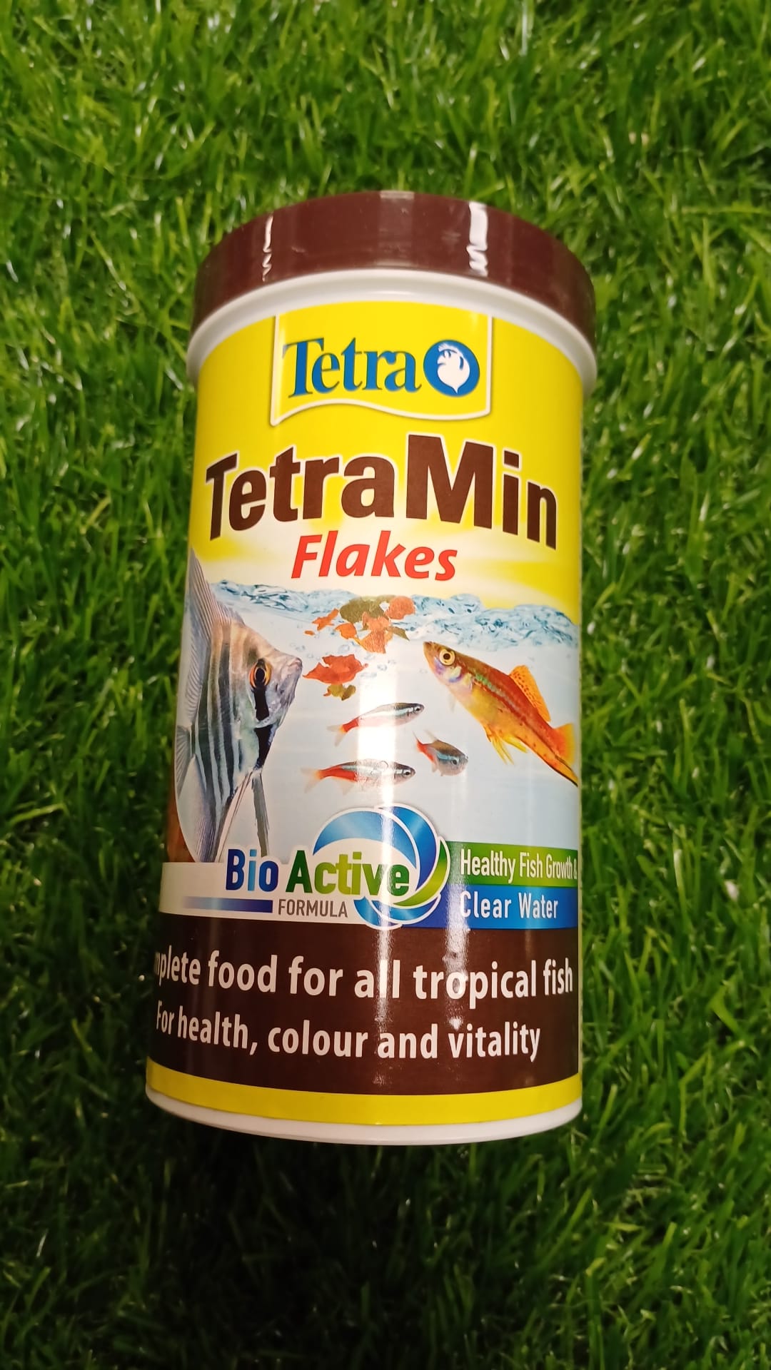 TetraMin Flakes for Tropical Fish