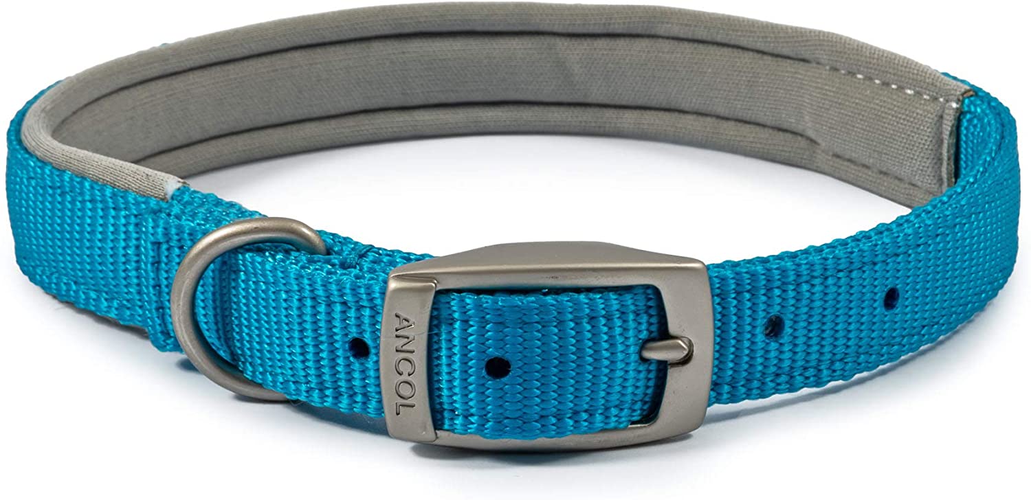 Ancol Blue Padded Collar Neck 50-59Cm