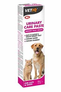 Vet IQ Urinary Care Paste 100g / 3.5oz