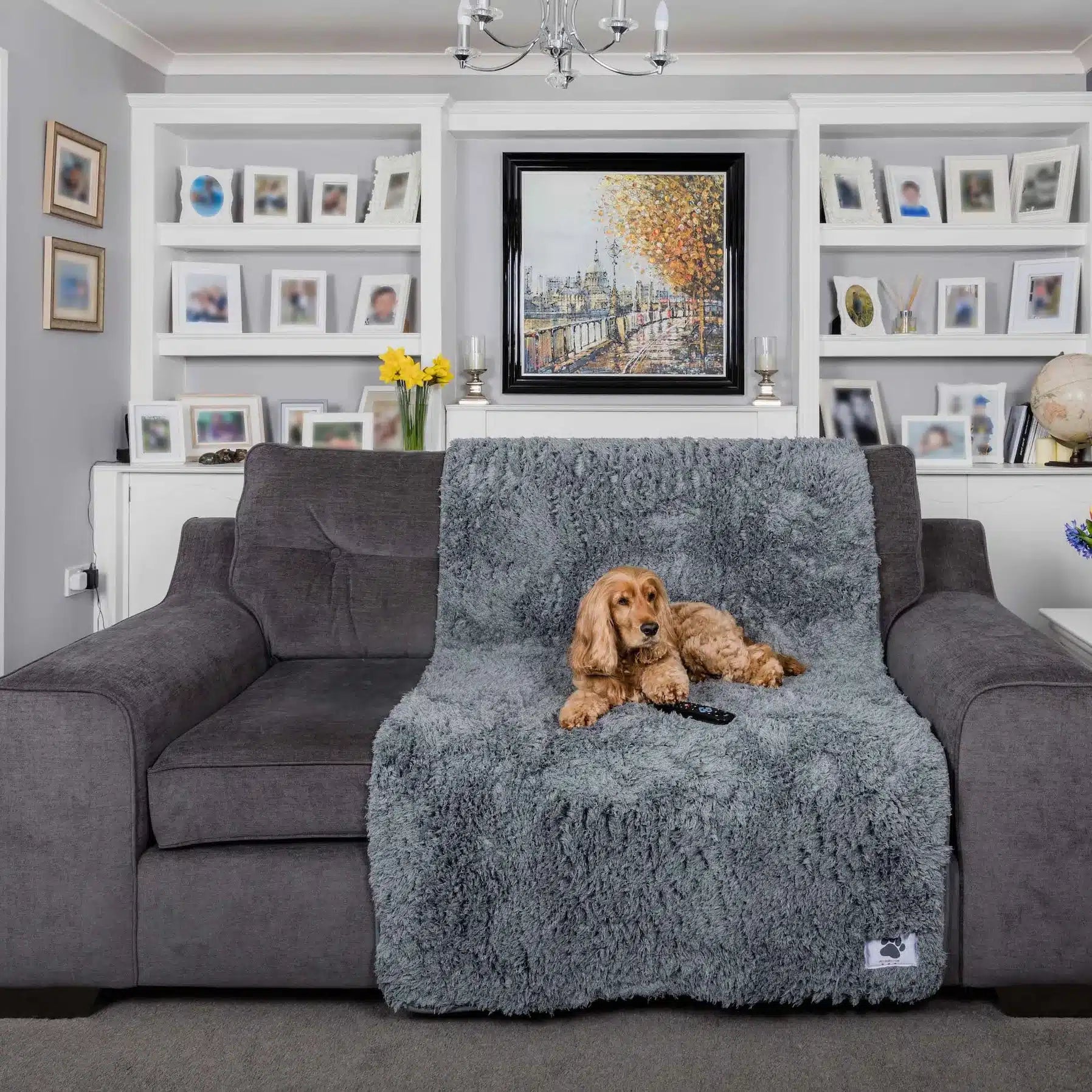 Pet Rebellion Comfy Cover