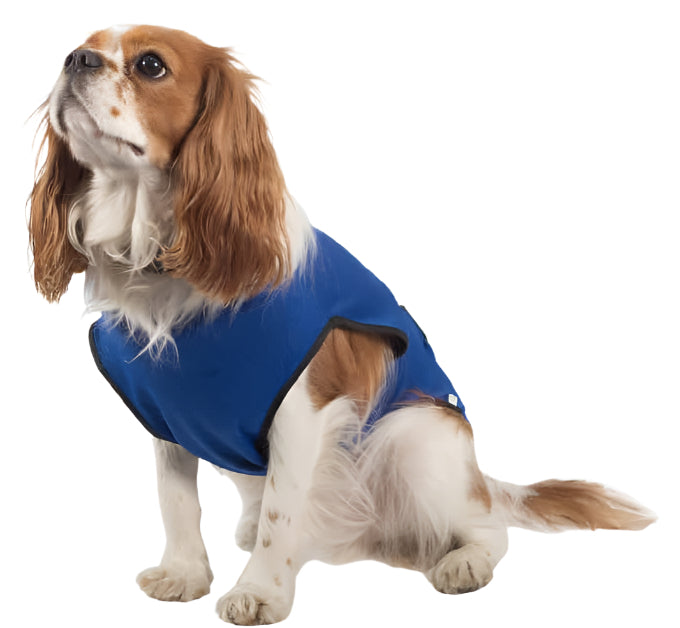Ancol Dog Cool Coat – for Cooling Comfort