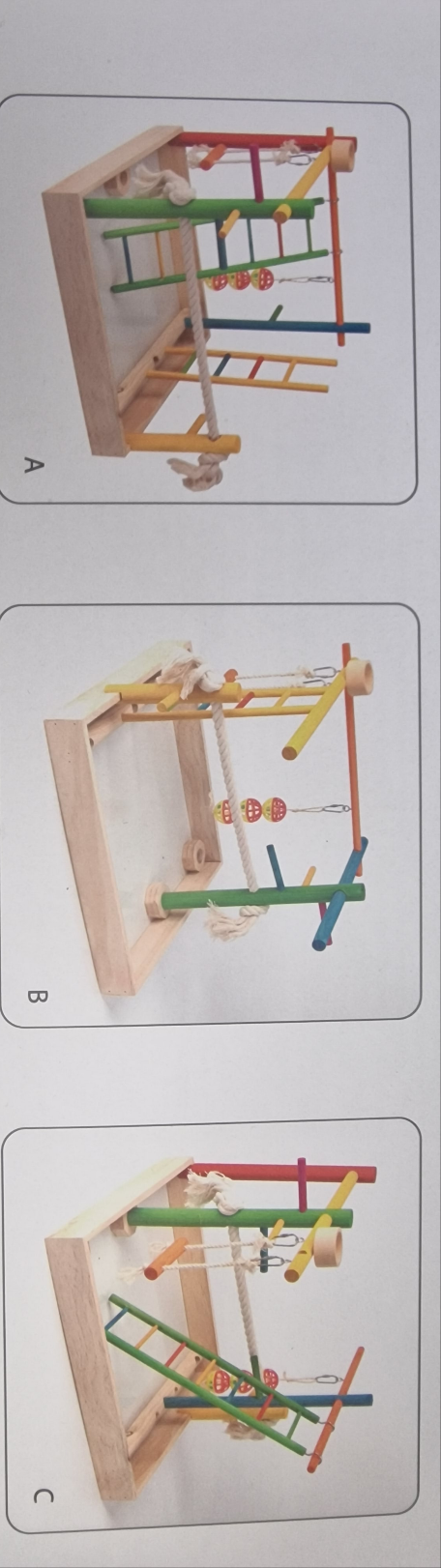 Pawise 3-1 playground bird