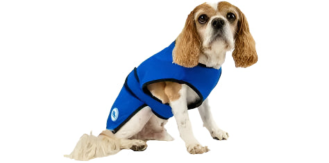 Ancol Ice Paws Dog Cooling Jacket