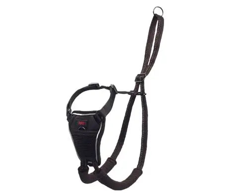 Halti Training Harness – The Ultimate No-Pull Solution for Your Dog