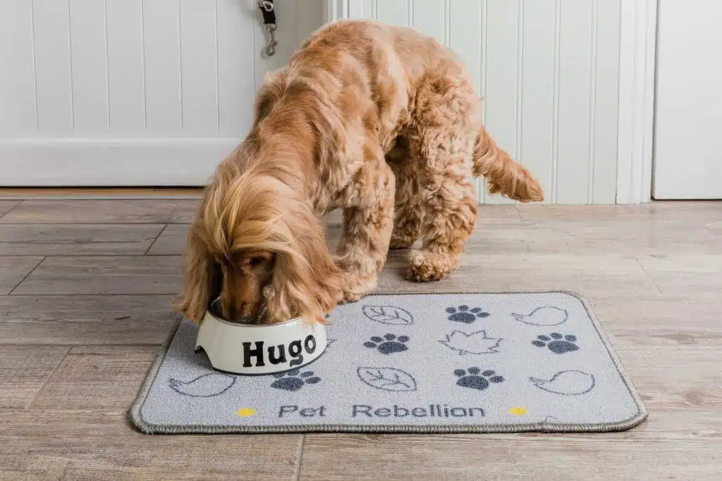 Dinner Mat in Country