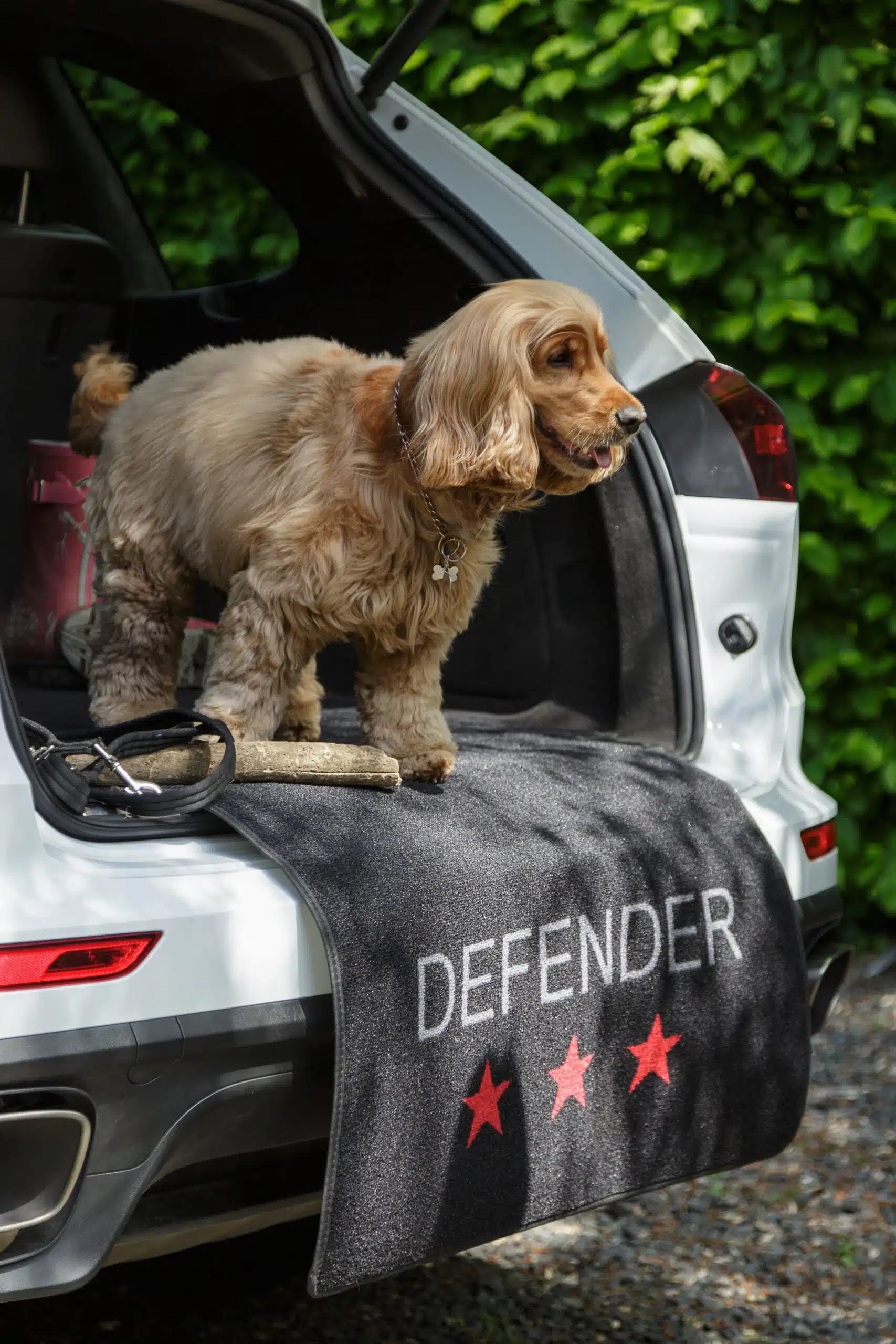 Car Boot Protection by Defender