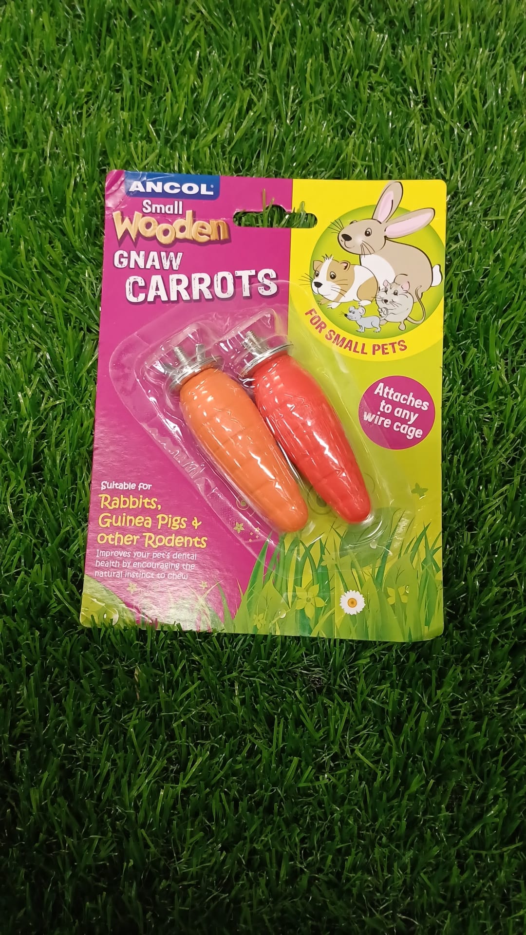 Wooden Gnaw Carrot