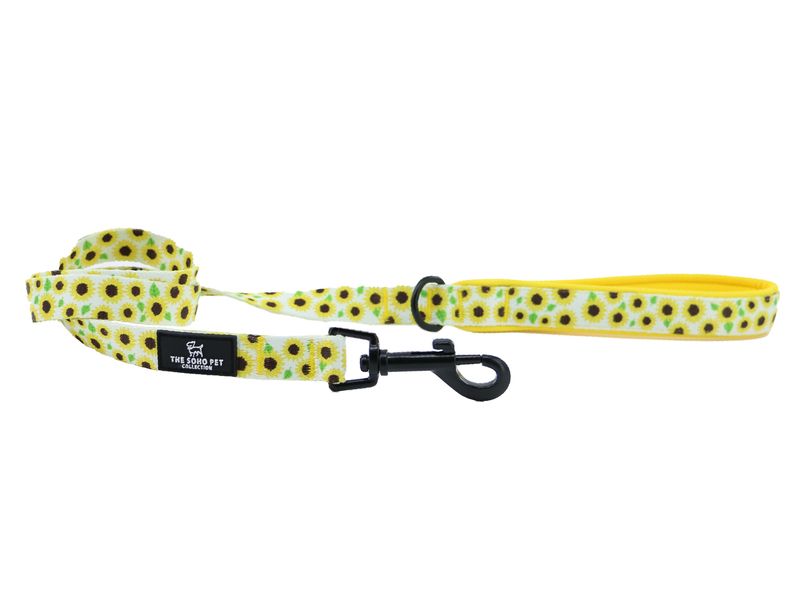 Sunflower Dog Lead