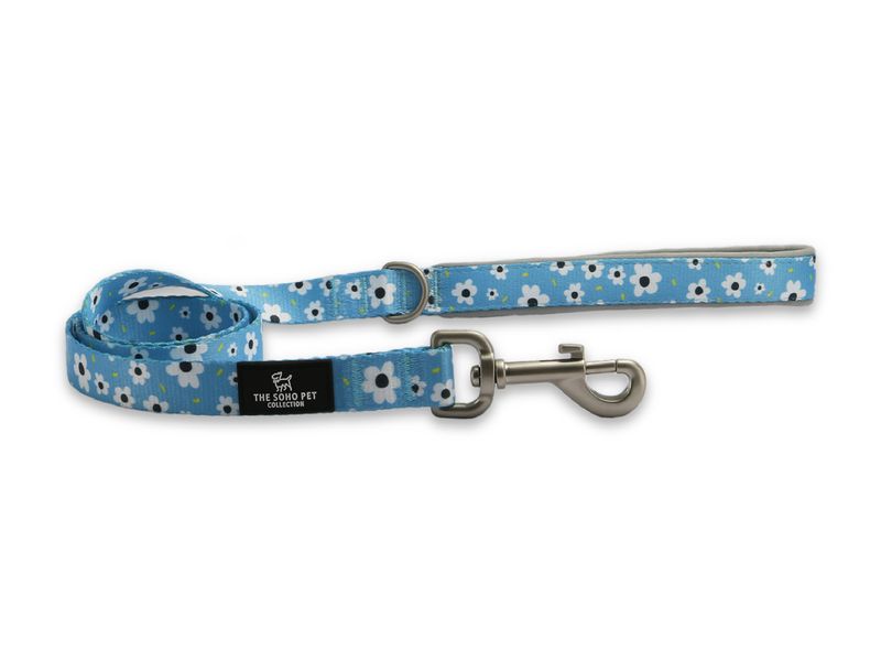 Daisy Dog Lead