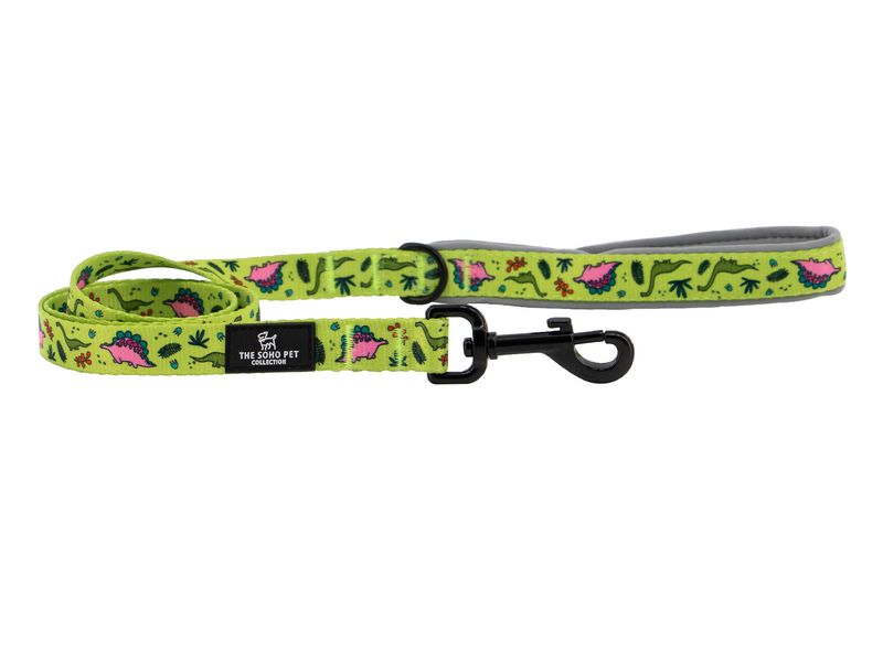 Dino Dog Lead