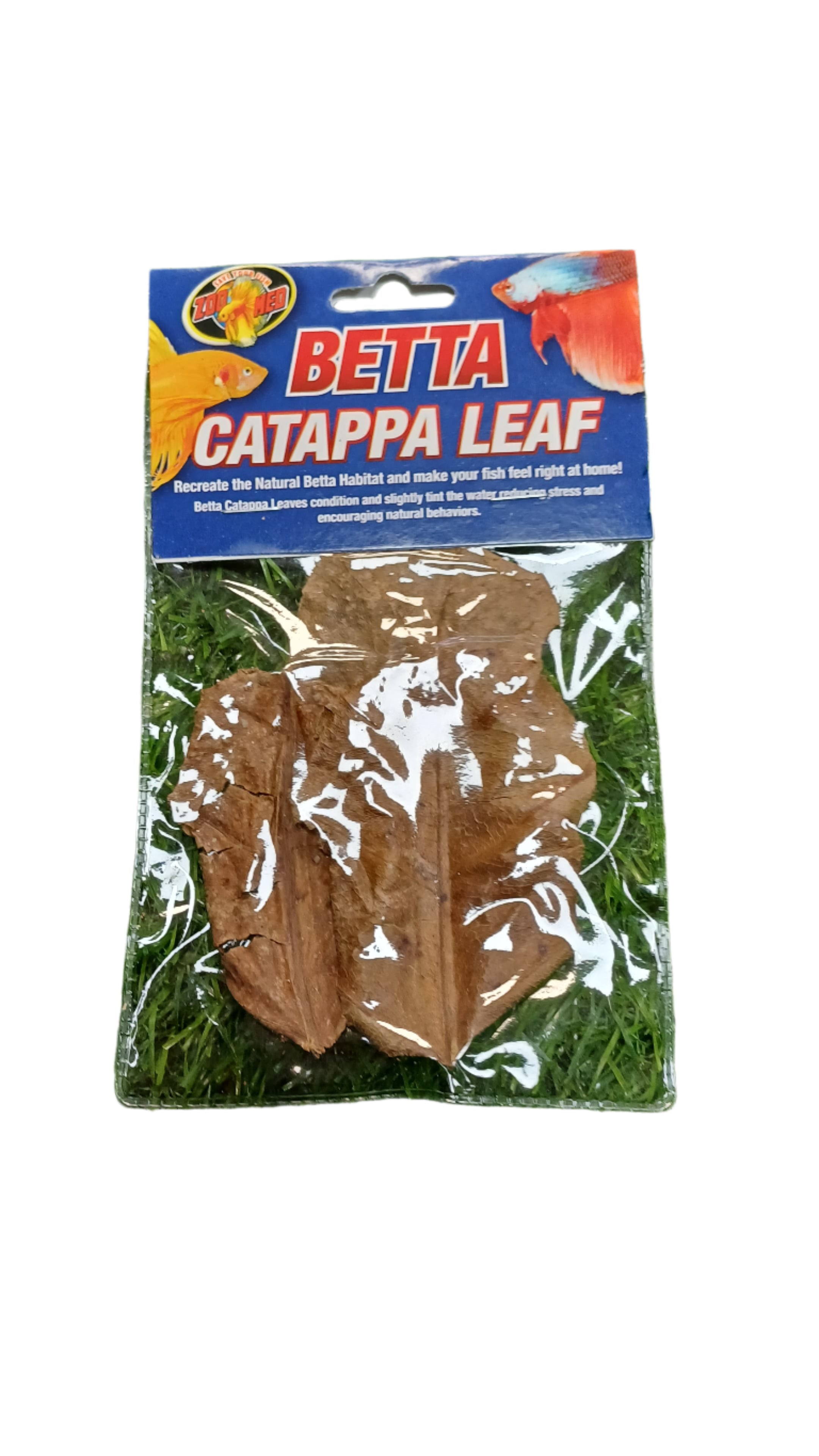 Betta Catappa Leaf: Natural Water Conditioner for Healthy Betta Fish