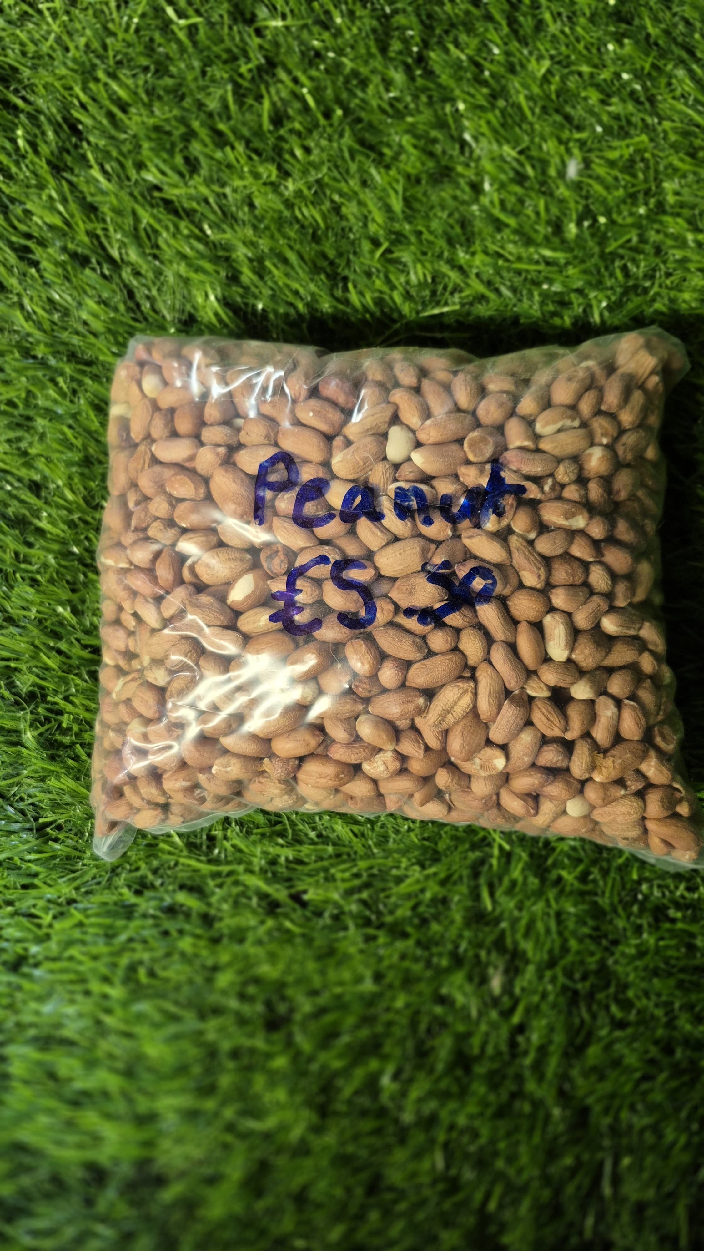 Peanuts for Wild Birds