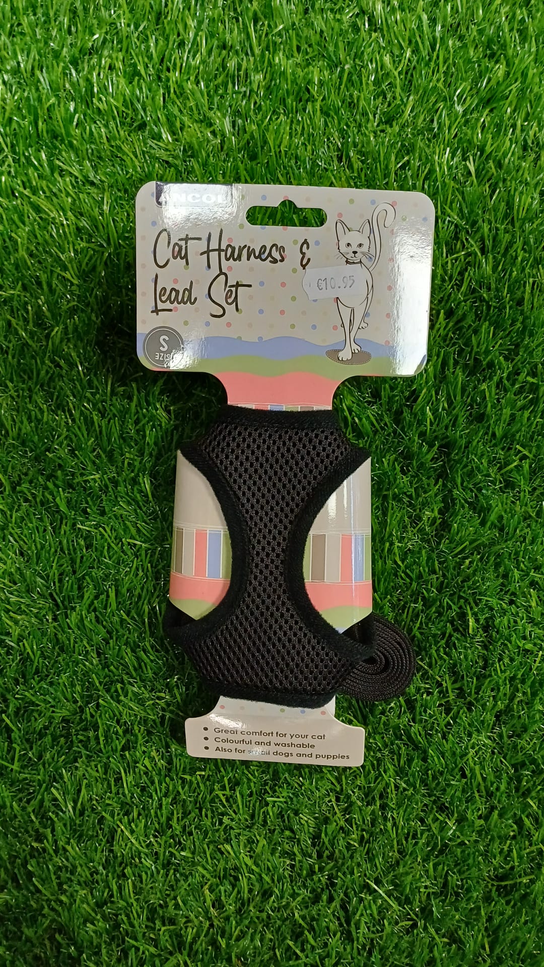 Black Cat Harness & Lead Set