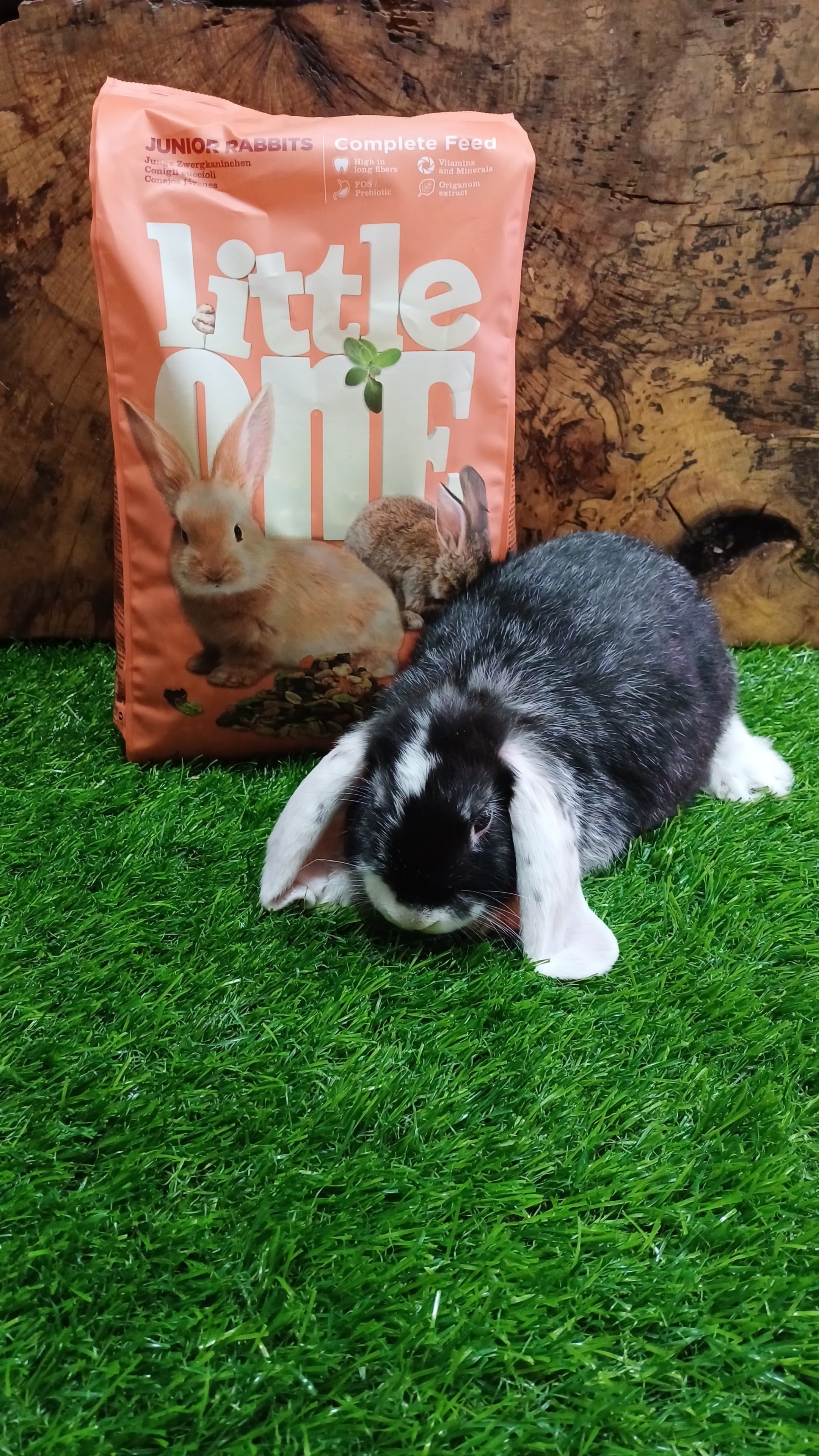 Little One Complete Feed Junior Rabbit