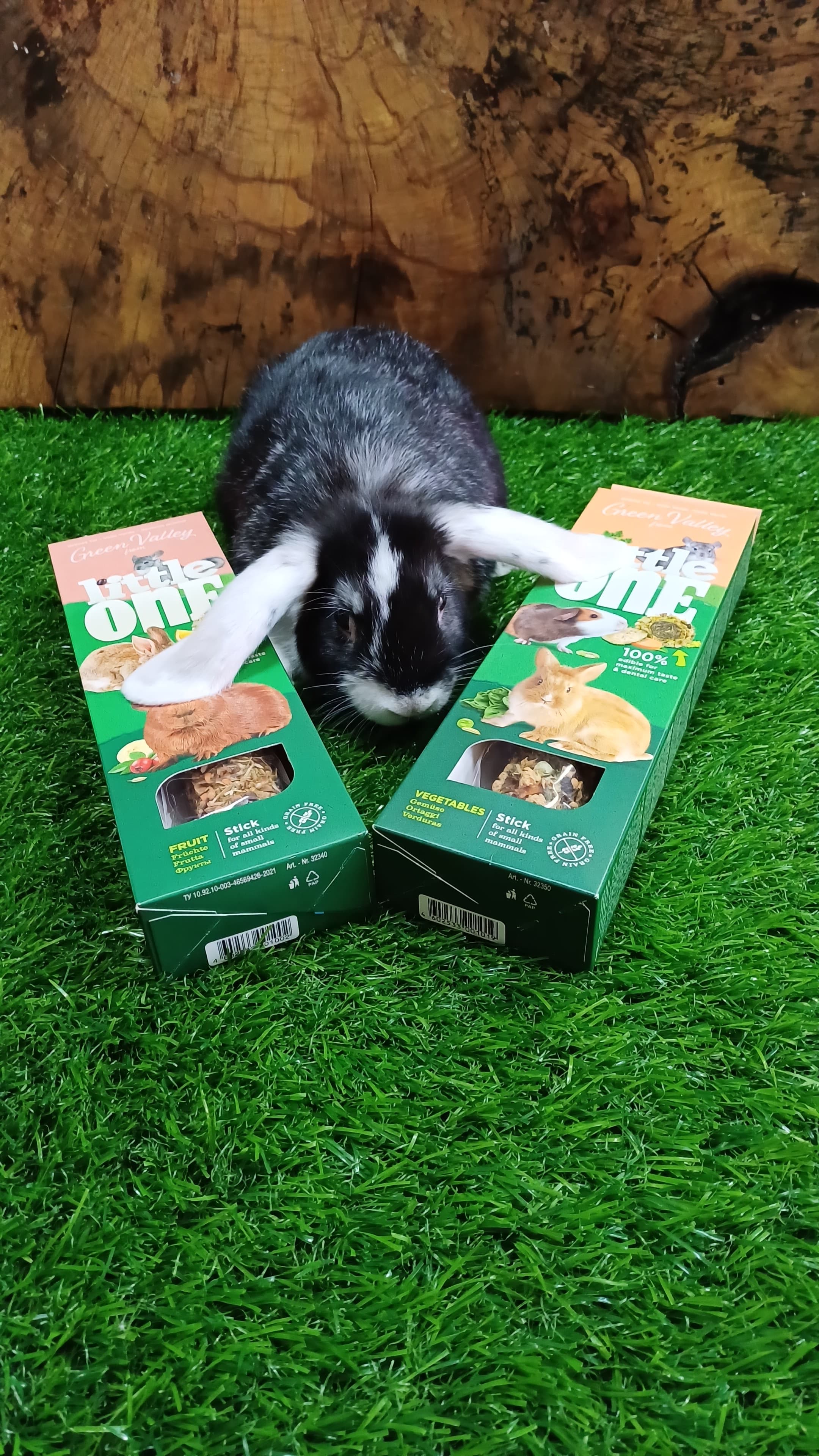 Little One Meadow Grass Treat