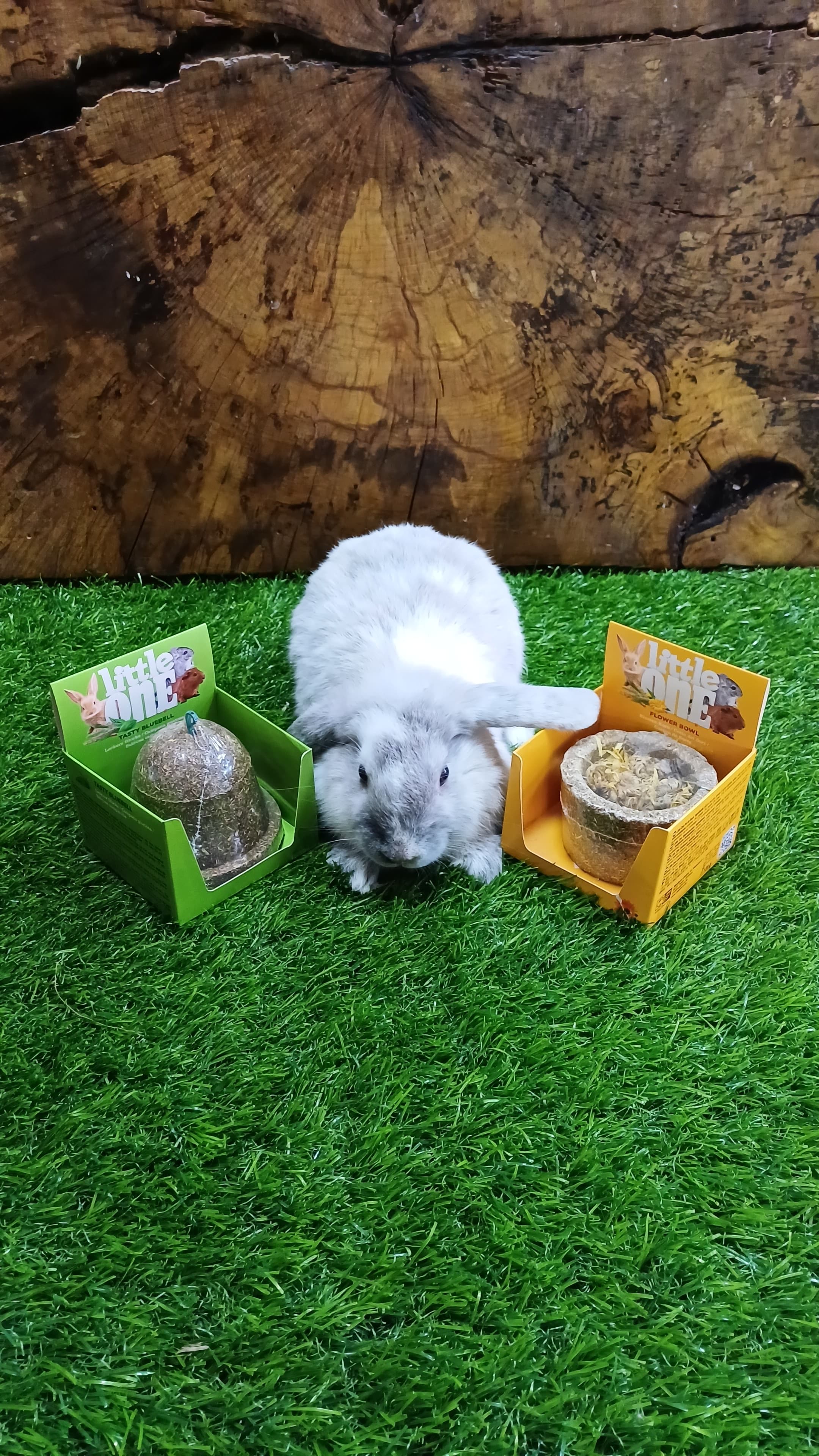 Little One Tasty Bluebell 150g