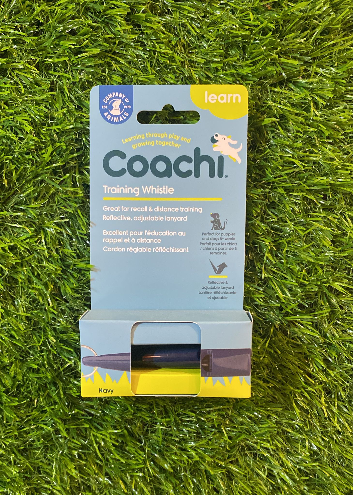 Coach Training Whistle