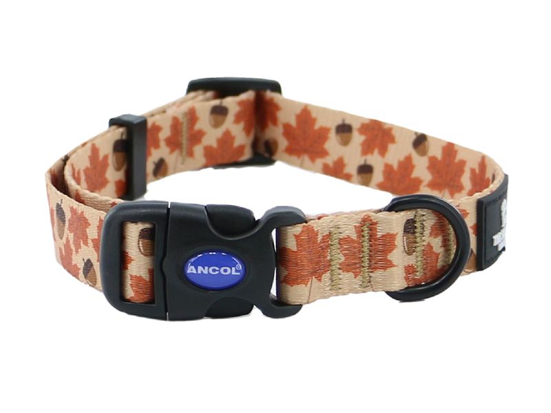 Soho Maple Leaf Dog Collar