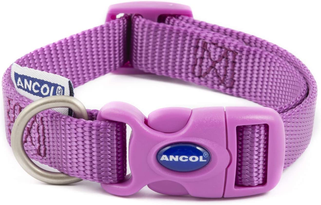 Ancol Purple Collar Neck 30-50Cm