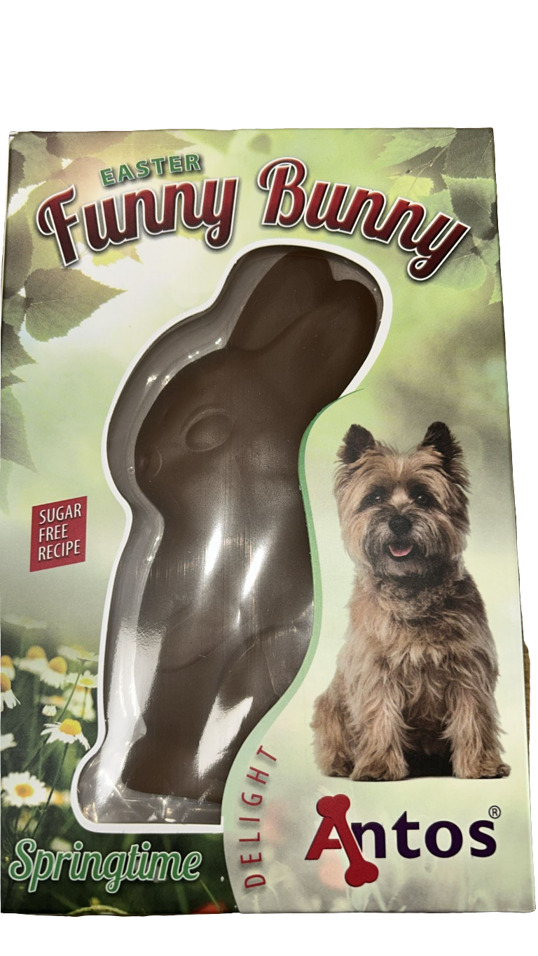 Easter Funny Bunny