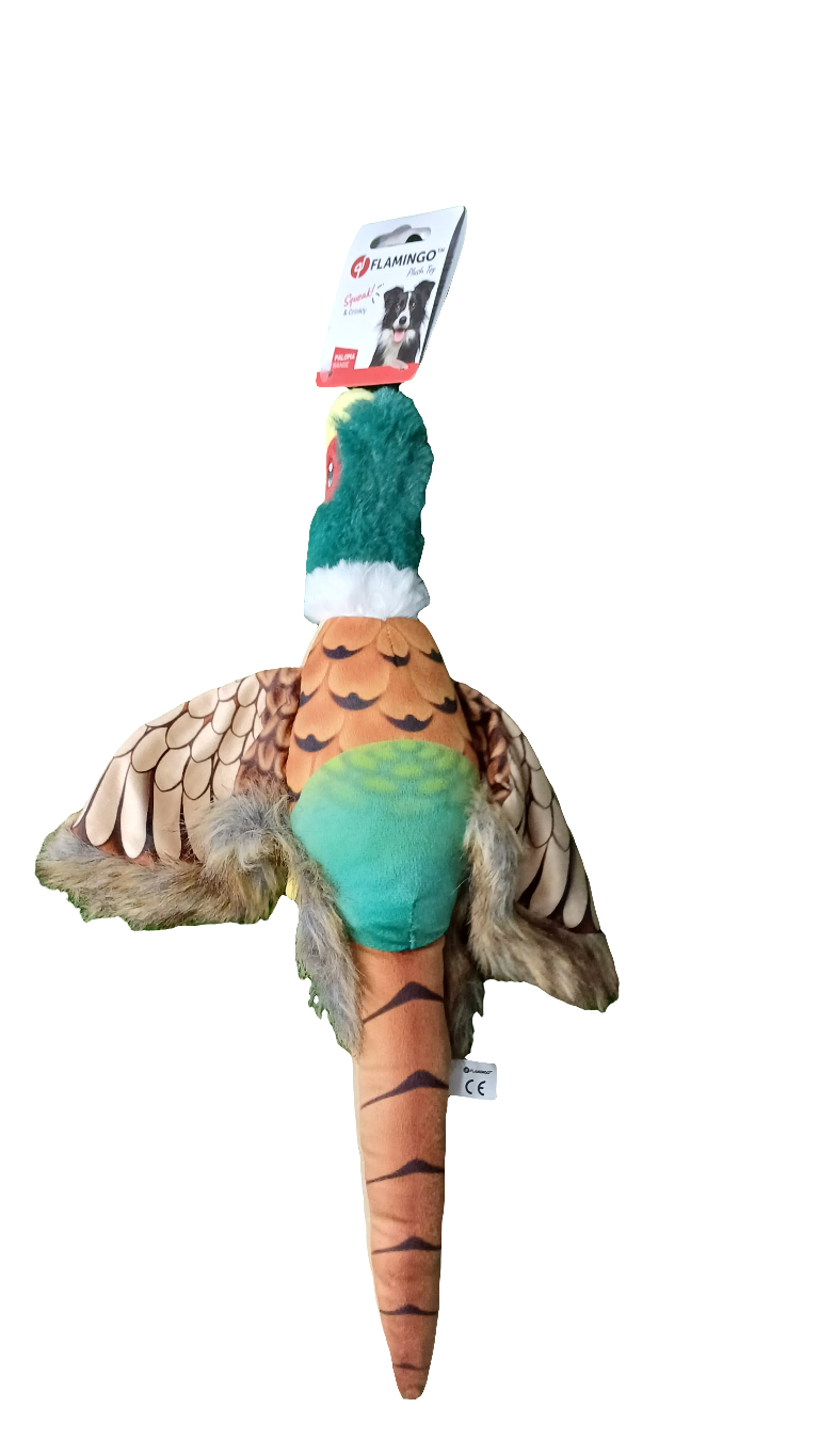 Kong Pheasant Dog Toy