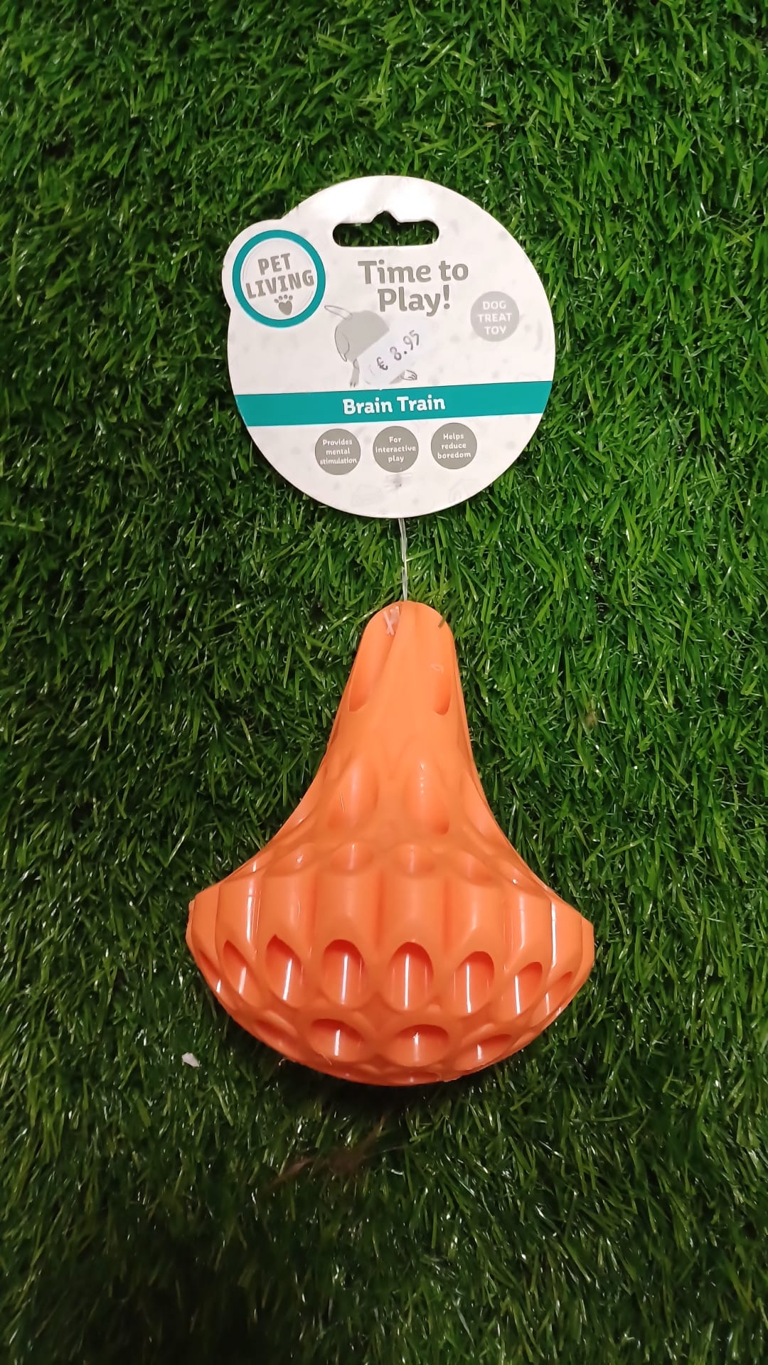 Brain Train Treat Stuffer Dog Toy