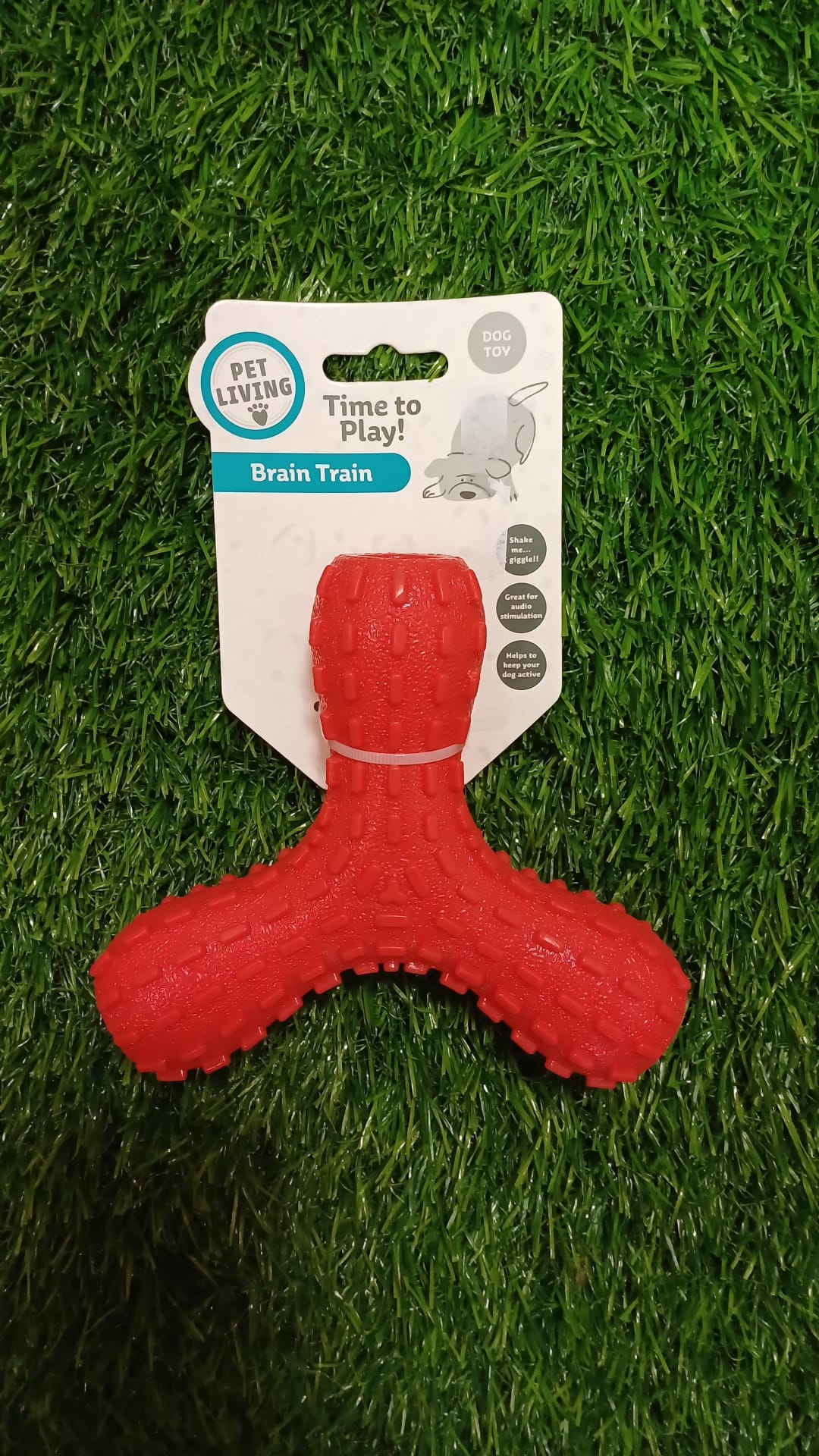 Brain Train Time to Play Noisy Dog Toy