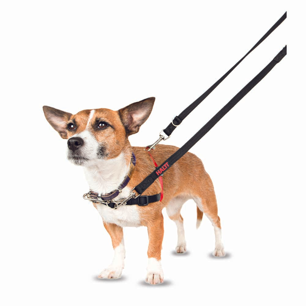 Halti Front Control Harness Small