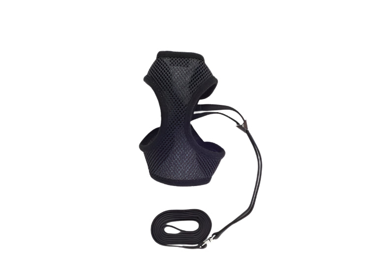 Black Cat Harness & Lead Set