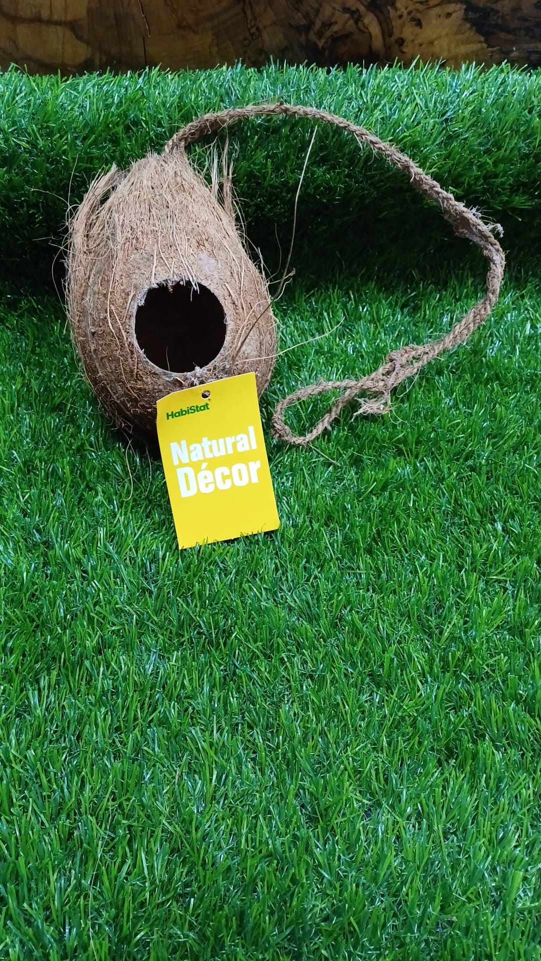 Coconut Shell Decour by HabiStat