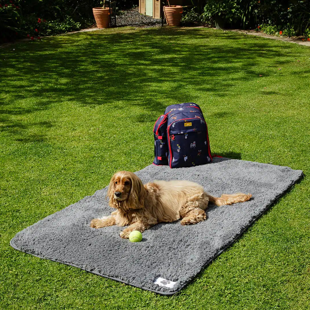 Pet Rebellion Comfy Cover