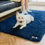 Pet Rebellion Comfy Cover