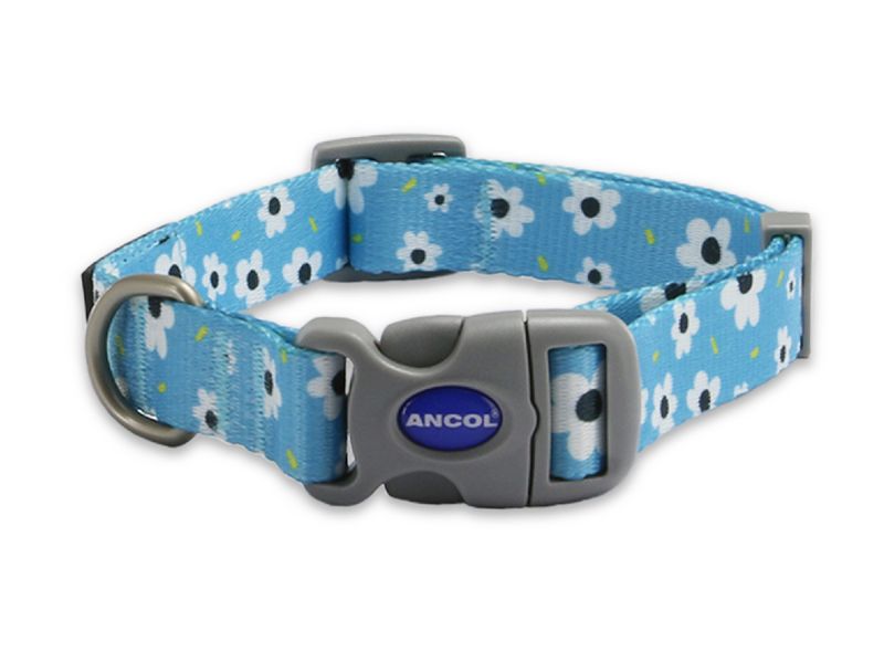 Soho Daisy Dog Collar