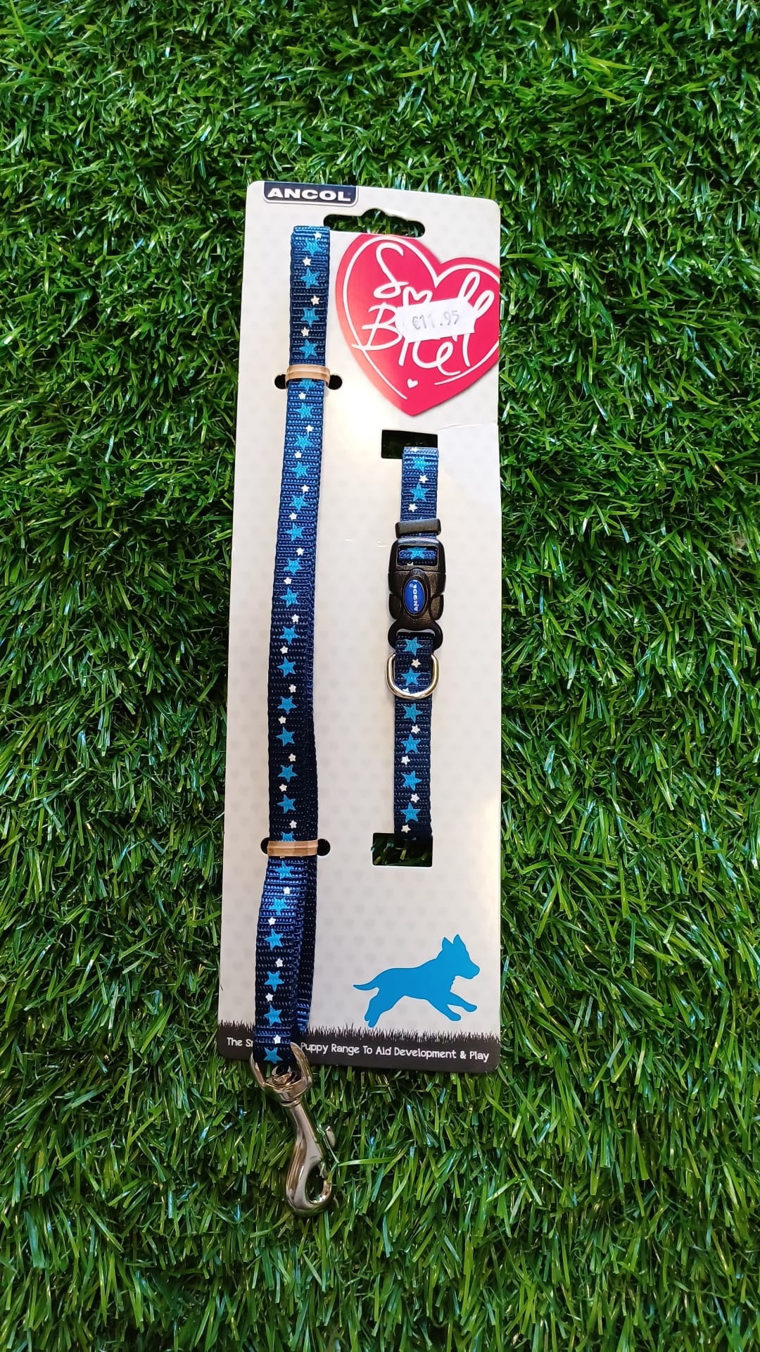 Matching Stars Collar & Lead