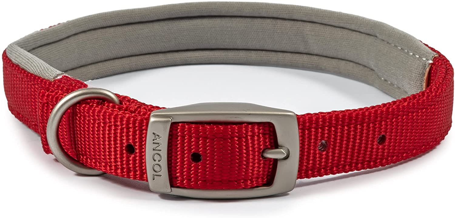 Ancol Red Padded Collar 39-48Cm