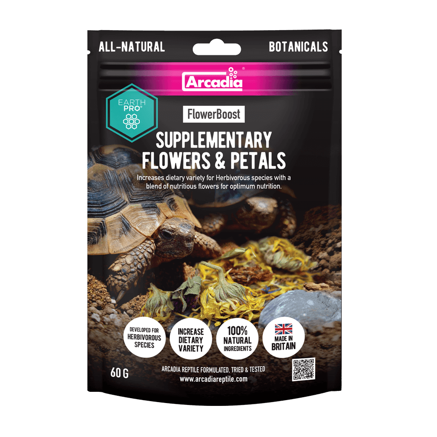 Supplementary Flowers & Petals by Arcadia