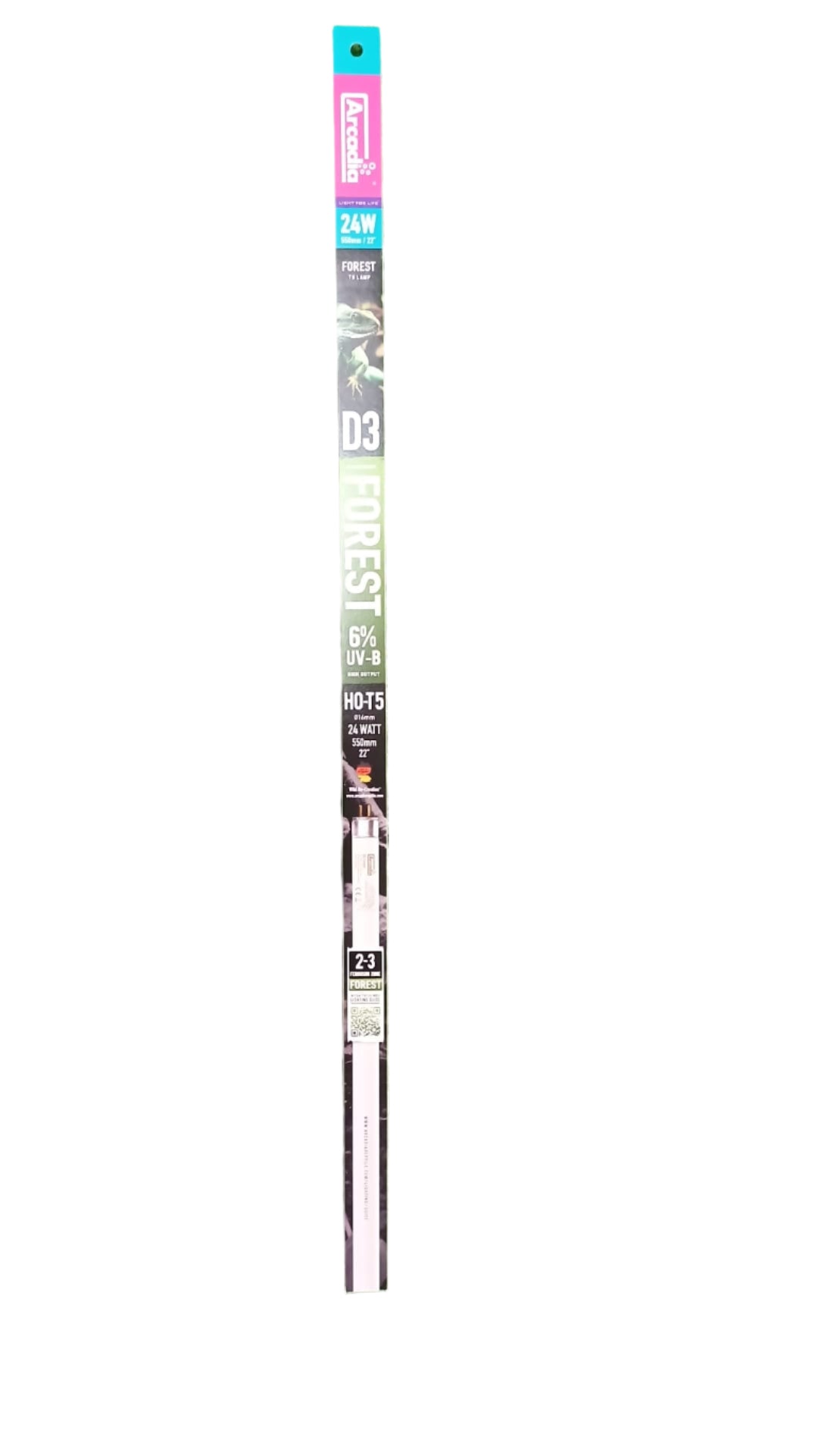 Forest D3 24w Light