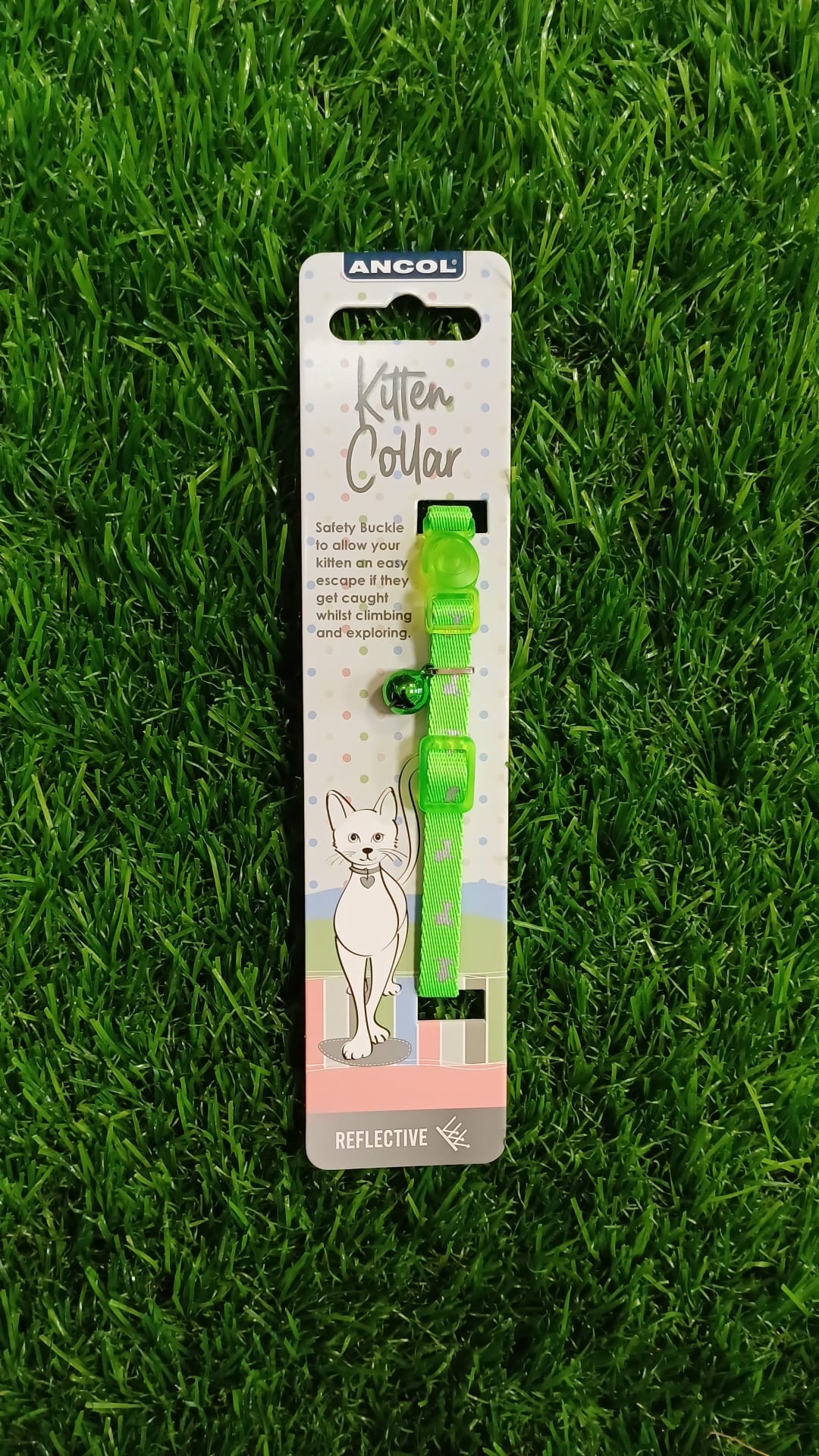 Reflective Kitten Collars