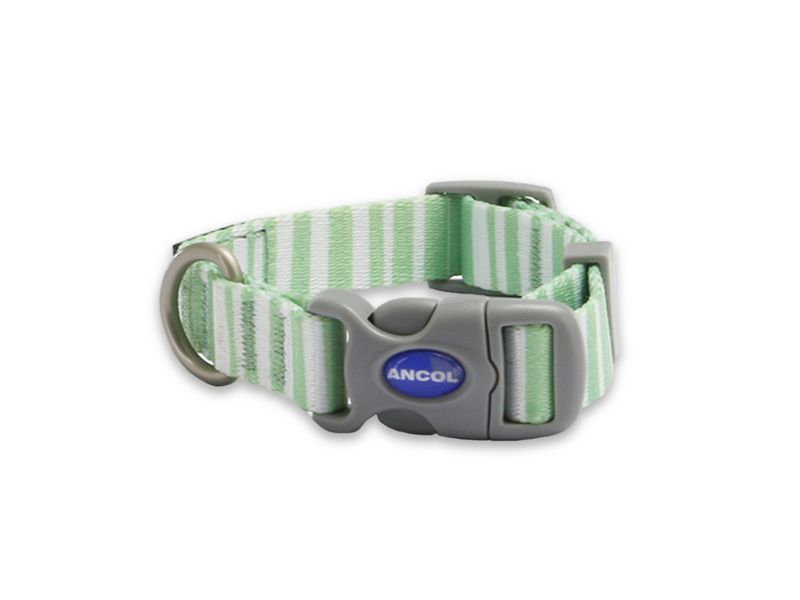 Soho Green Stripe Dog Collar