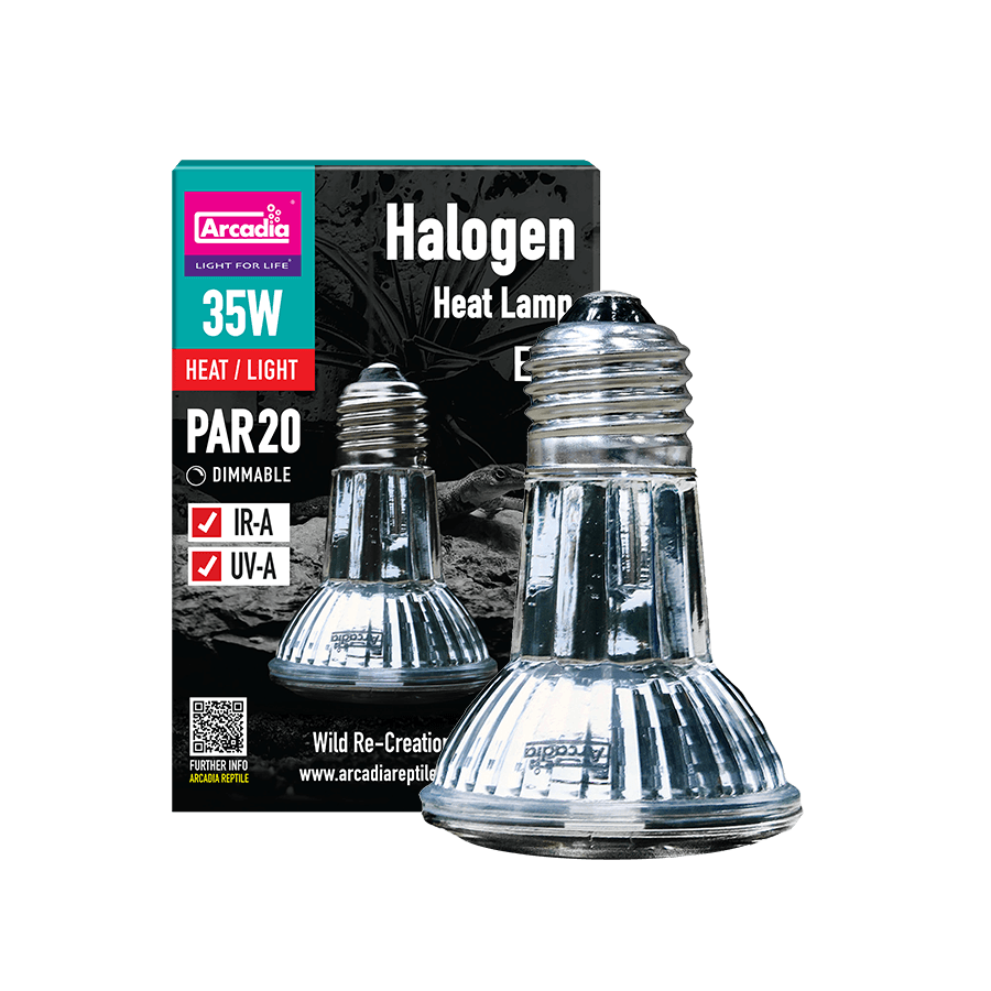 Halogen Heat/Light Lamp