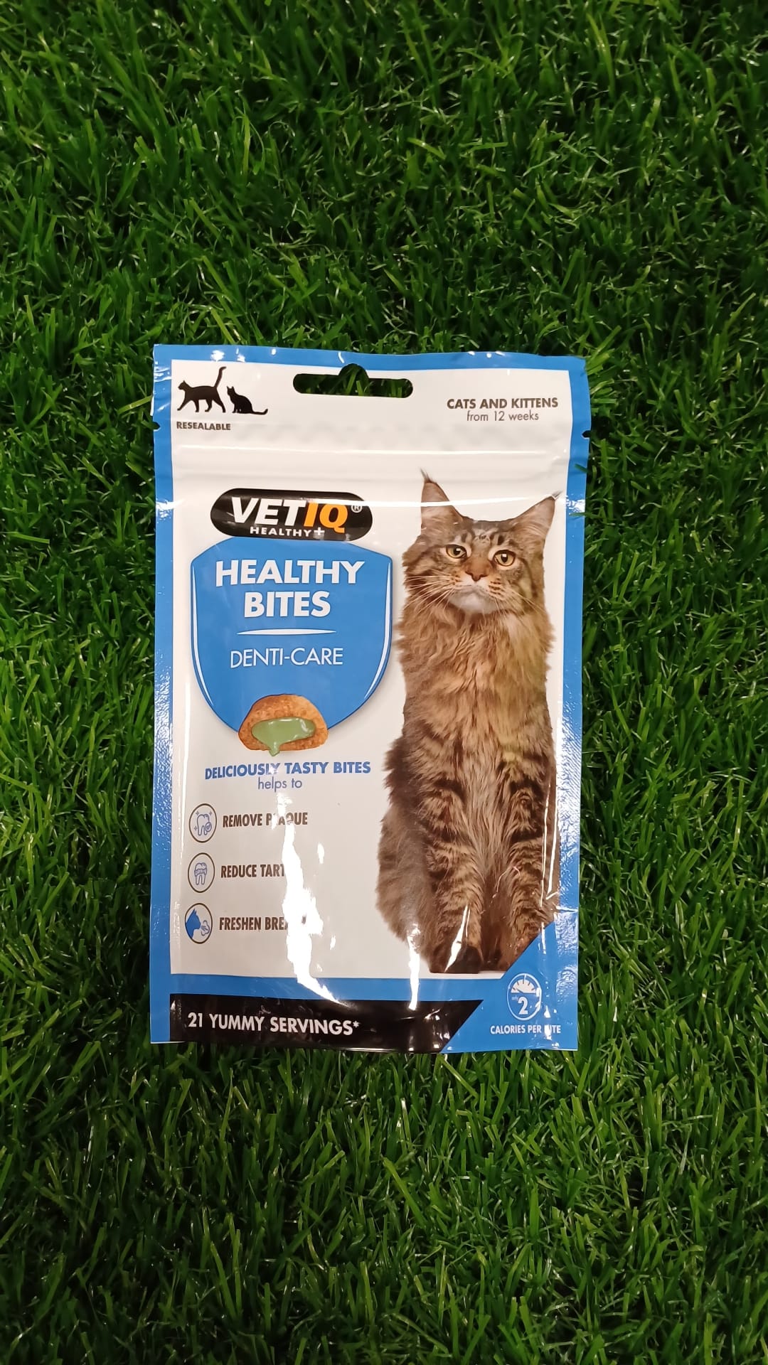 Healthy Dental Bites for Cats