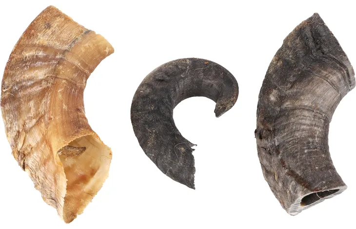 Sheep Horns Natural Dog Treats