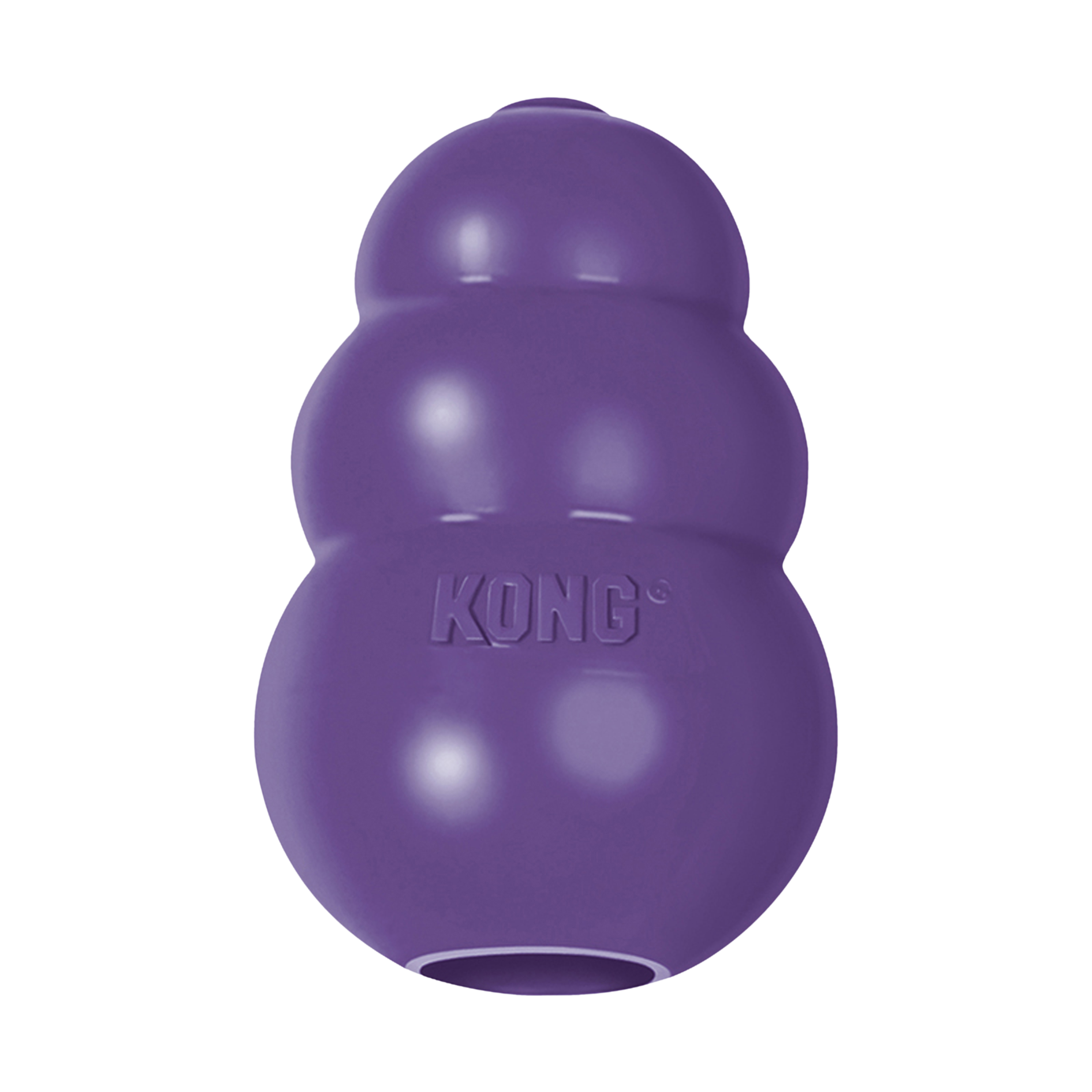 Kong Senior Treat Holder