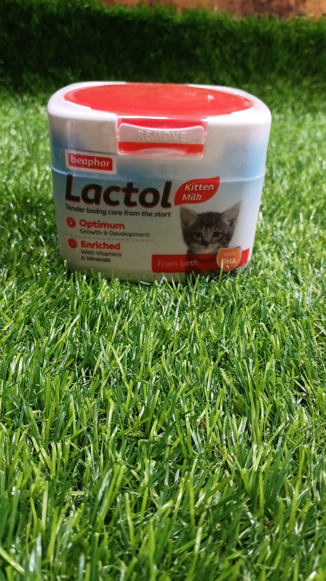 Lactol Replacement for Kittens 250g