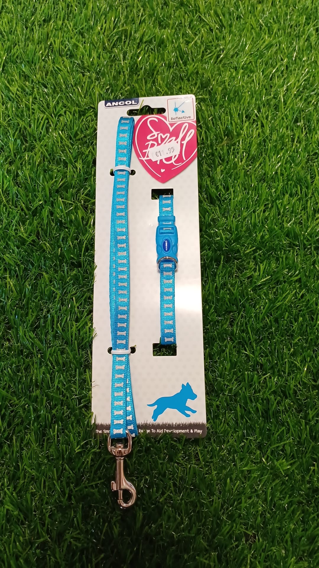 Matching Stars Collar & Lead