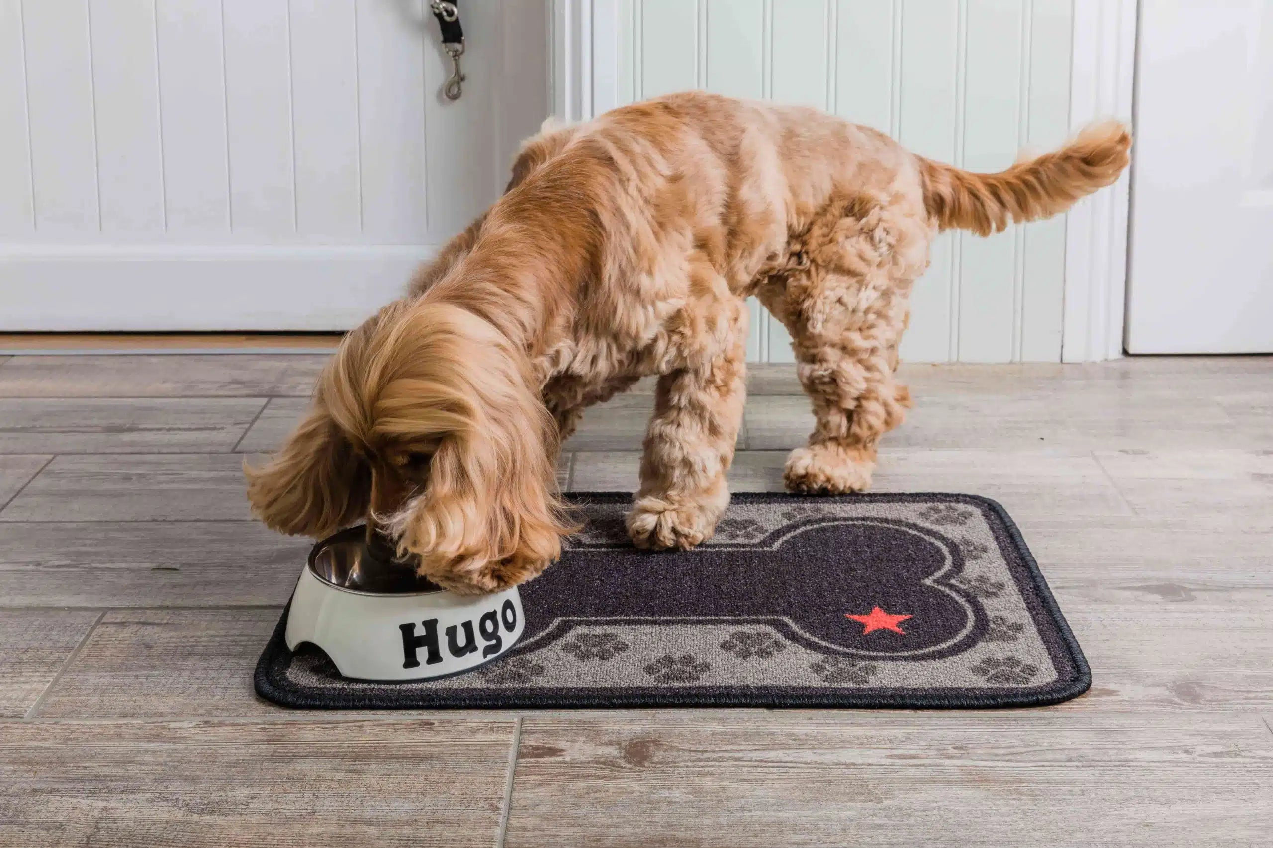 Absorbent Dinner Mat with Little Paws