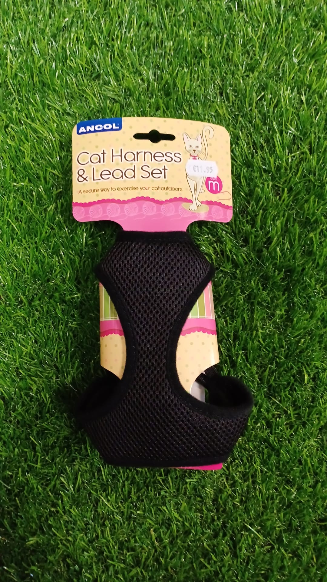 Black Cat Harness & Lead Set