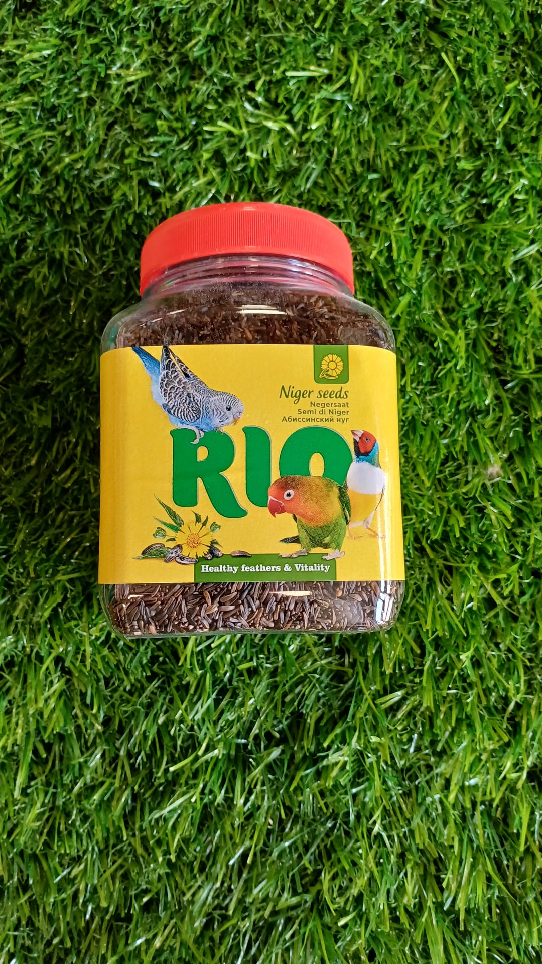 Rio Niger Seeds 250g